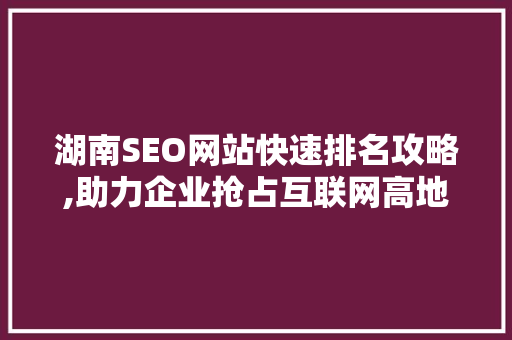 湖南SEO网站快速排名攻略,助力企业抢占互联网高地