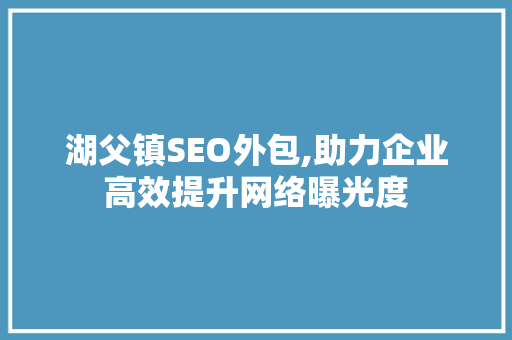 湖父镇SEO外包,助力企业高效提升网络曝光度