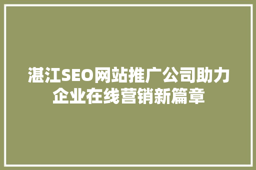 湛江SEO网站推广公司助力企业在线营销新篇章