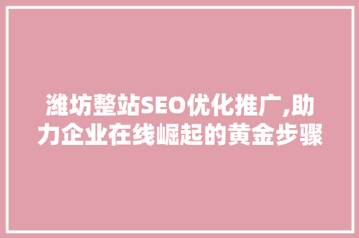 潍坊整站SEO优化推广,助力企业在线崛起的黄金步骤