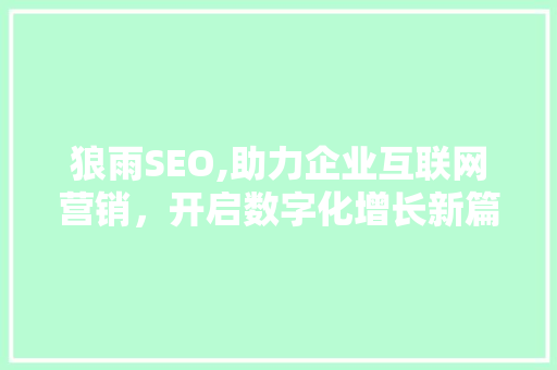 狼雨SEO,助力企业互联网营销，开启数字化增长新篇章