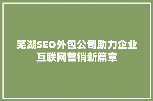 芜湖SEO外包公司助力企业互联网营销新篇章