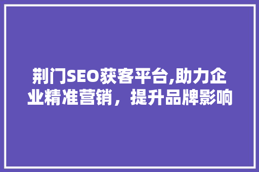 荆门SEO获客平台,助力企业精准营销，提升品牌影响力