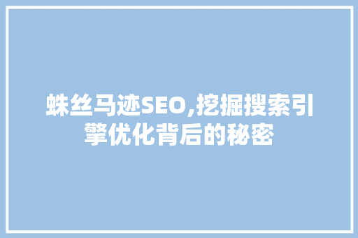蛛丝马迹SEO,挖掘搜索引擎优化背后的秘密