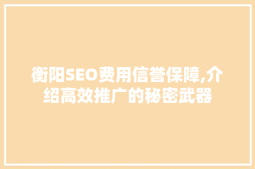 衡阳SEO费用信誉保障,介绍高效推广的秘密武器