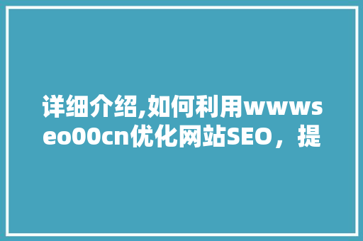 详细介绍,如何利用wwwseo00cn优化网站SEO，提升网站排名