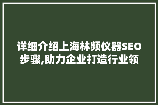 详细介绍上海林频仪器SEO步骤,助力企业打造行业领先地位