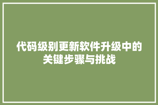 代码级别更新软件升级中的关键步骤与挑战