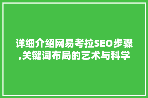 详细介绍网易考拉SEO步骤,关键词布局的艺术与科学