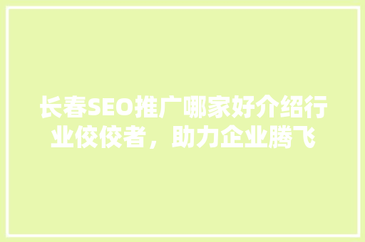 长春SEO推广哪家好介绍行业佼佼者，助力企业腾飞