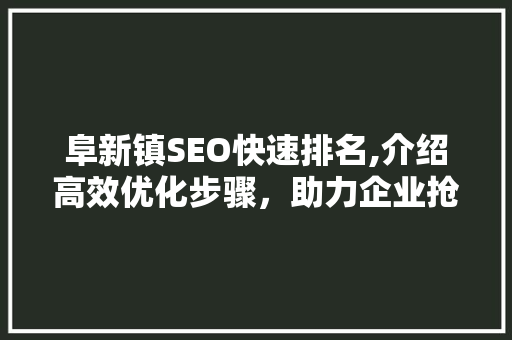 阜新镇SEO快速排名,介绍高效优化步骤，助力企业抢占市场先机