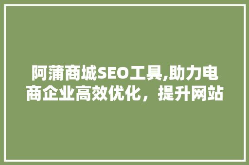 阿蒲商城SEO工具,助力电商企业高效优化，提升网站流量与转化率