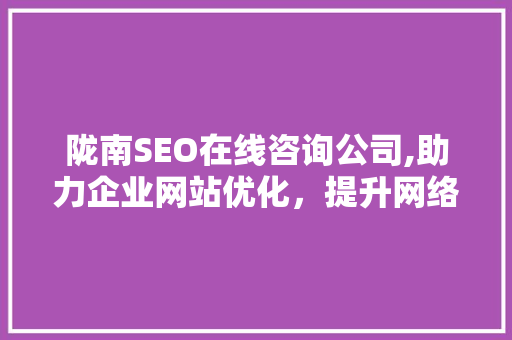 陇南SEO在线咨询公司,助力企业网站优化，提升网络竞争力