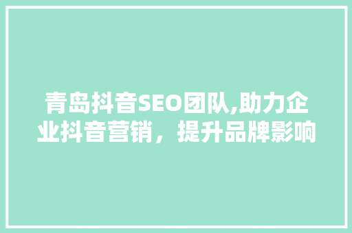 青岛抖音SEO团队,助力企业抖音营销，提升品牌影响力