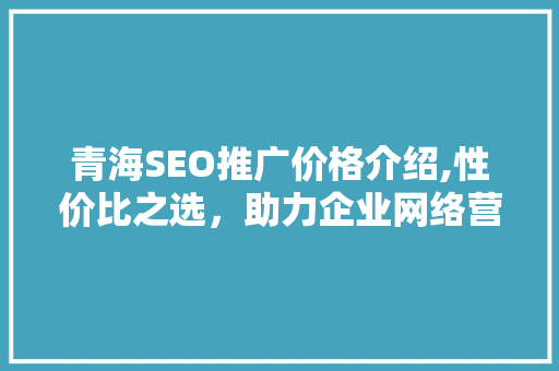 青海SEO推广价格介绍,性价比之选，助力企业网络营销