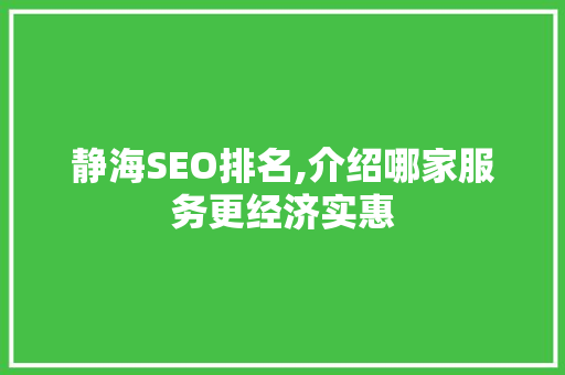静海SEO排名,介绍哪家服务更经济实惠