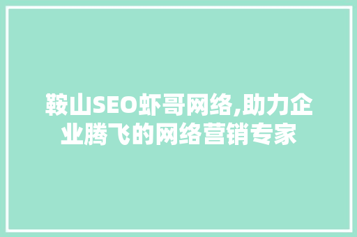 鞍山SEO虾哥网络,助力企业腾飞的网络营销专家