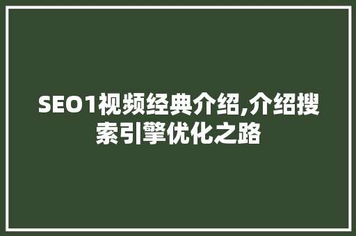 SEO1视频经典介绍,介绍搜索引擎优化之路