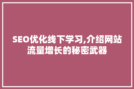 SEO优化线下学习,介绍网站流量增长的秘密武器