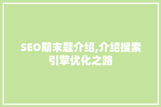 SEO期末题介绍,介绍搜索引擎优化之路