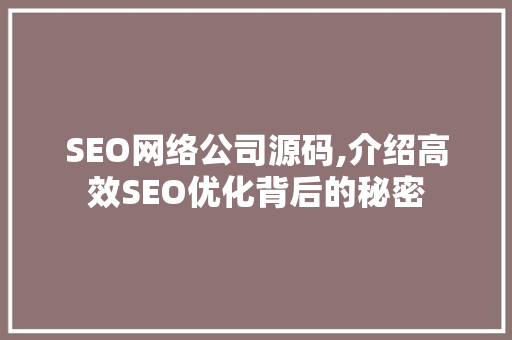 SEO网络公司源码,介绍高效SEO优化背后的秘密  第1张