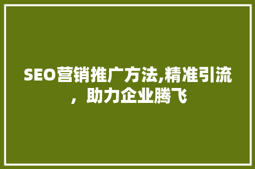 SEO营销推广方法,精准引流，助力企业腾飞  第1张