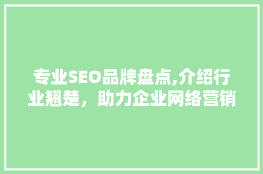 专业SEO品牌盘点,介绍行业翘楚，助力企业网络营销
