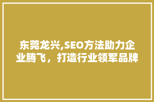 东莞龙兴,SEO方法助力企业腾飞，打造行业领军品牌