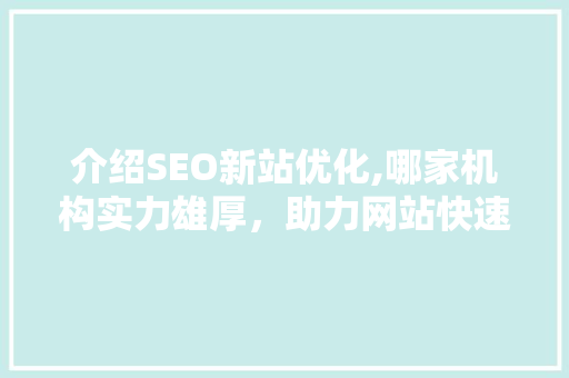 介绍SEO新站优化,哪家机构实力雄厚，助力网站快速崛起