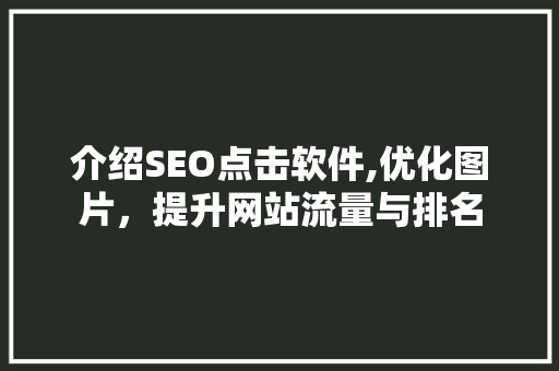介绍SEO点击软件,优化图片，提升网站流量与排名