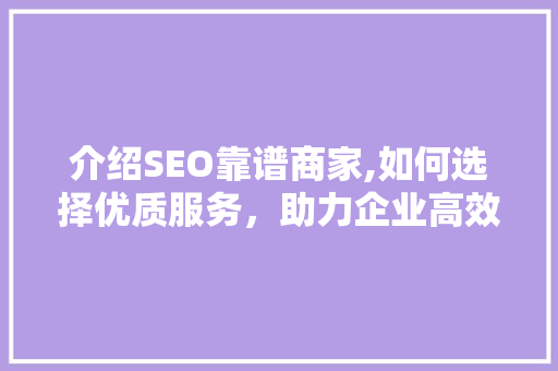介绍SEO靠谱商家,如何选择优质服务，助力企业高效提升排名