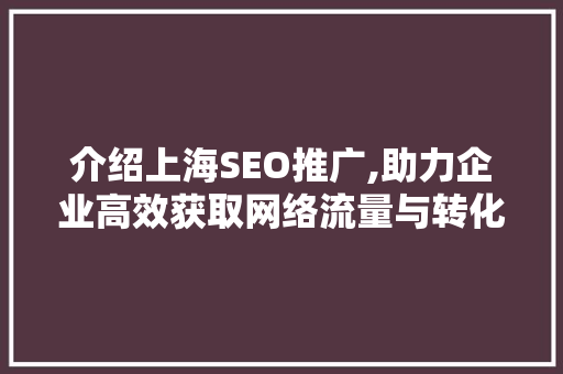 介绍上海SEO推广,助力企业高效获取网络流量与转化