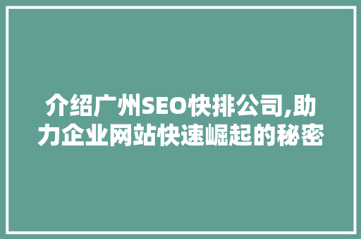 介绍广州SEO快排公司,助力企业网站快速崛起的秘密武器