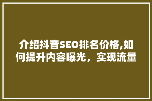 介绍抖音SEO排名价格,如何提升内容曝光，实现流量变现