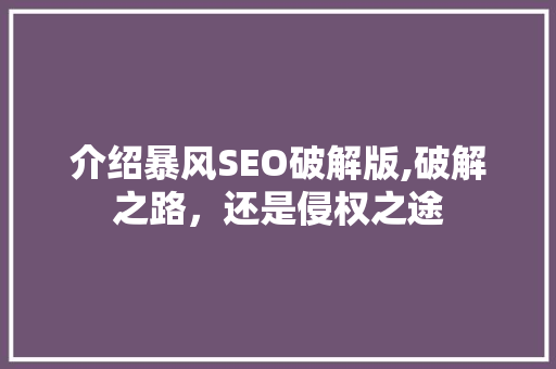 介绍暴风SEO破解版,破解之路，还是侵权之途