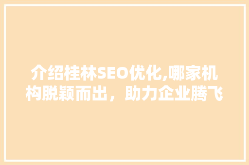 介绍桂林SEO优化,哪家机构脱颖而出，助力企业腾飞