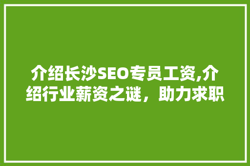 介绍长沙SEO专员工资,介绍行业薪资之谜，助力求职者精准定位  第1张