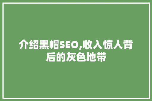 介绍黑帽SEO,收入惊人背后的灰色地带