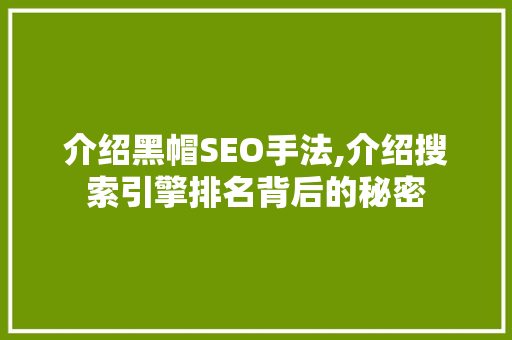 介绍黑帽SEO手法,介绍搜索引擎排名背后的秘密