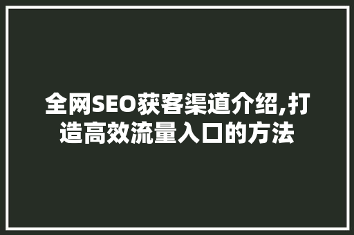 全网SEO获客渠道介绍,打造高效流量入口的方法