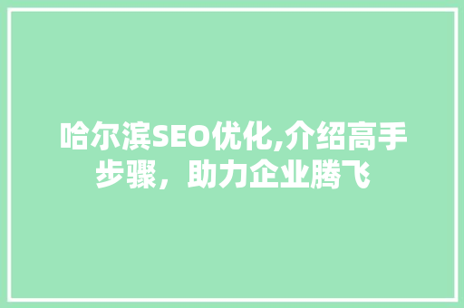 哈尔滨SEO优化,介绍高手步骤，助力企业腾飞