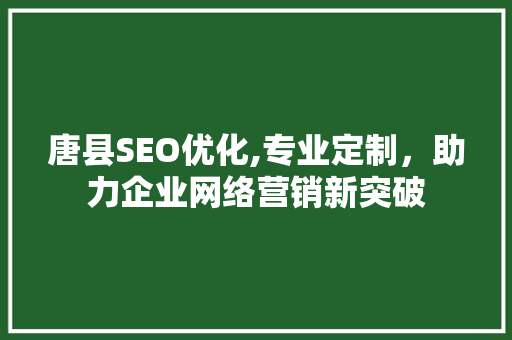唐县SEO优化,专业定制，助力企业网络营销新突破