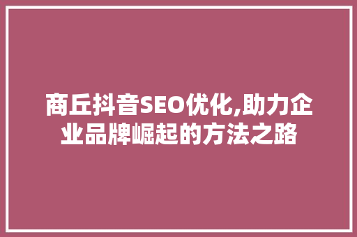 商丘抖音SEO优化,助力企业品牌崛起的方法之路
