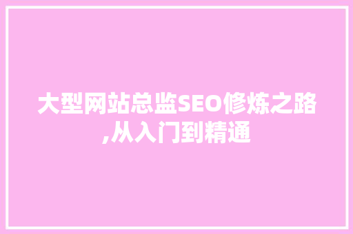 大型网站总监SEO修炼之路,从入门到精通