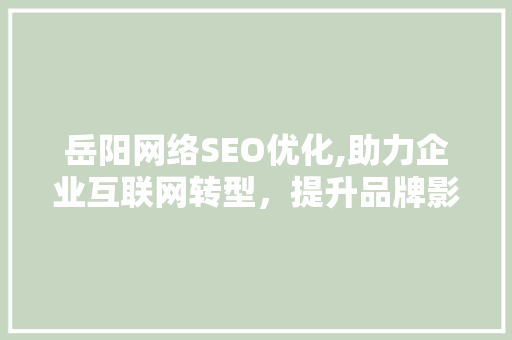 岳阳网络SEO优化,助力企业互联网转型，提升品牌影响力