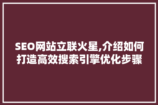 SEO网站立联火星,介绍如何打造高效搜索引擎优化步骤