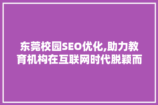 东莞校园SEO优化,助力教育机构在互联网时代脱颖而出