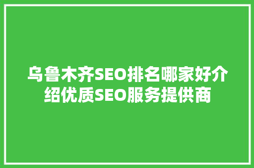 乌鲁木齐SEO排名哪家好介绍优质SEO服务提供商