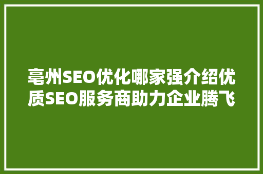 亳州SEO优化哪家强介绍优质SEO服务商助力企业腾飞之路