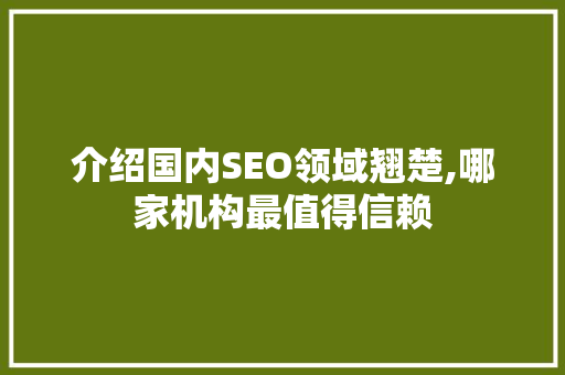 介绍国内SEO领域翘楚,哪家机构最值得信赖